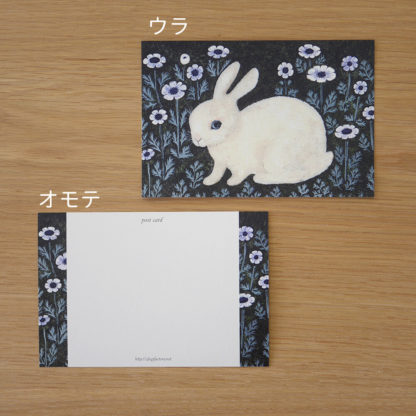 Postales - Rabbit and Anemone - Imagen 2