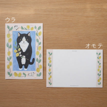 Postal+memo set #15 Tuxedo cat - Imagen 2