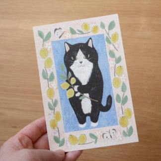 Postal+memo set #15 Tuxedo cat