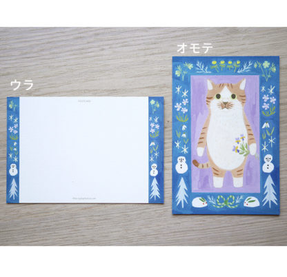 Postal+memo set #09 Chatlanian sock cat - Imagen 2