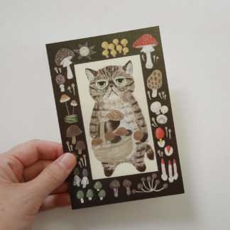 Postales - #22 exotic shorthair